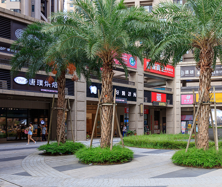 A7正核心成熟生活商圈-圖片一