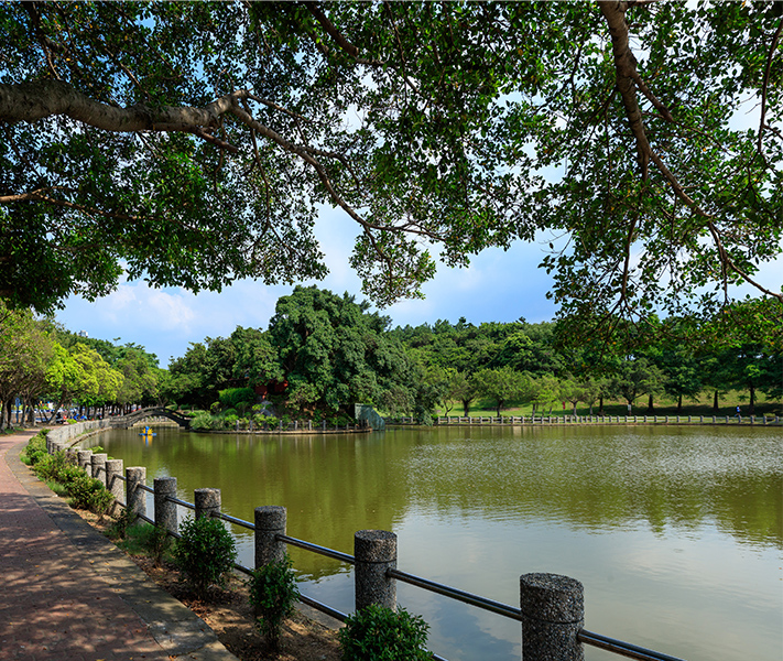 演繹綠意書香自然生活-圖片二